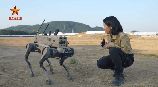 �ҹ���������