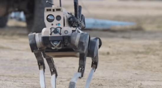 �ҹ���������