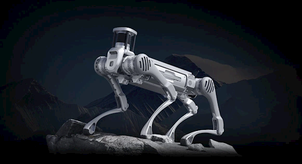 С�������Ż������������ע Ů������ǰһ�ʻ�40�����