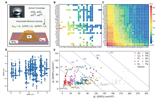 �й���ѧ����AI�ƽ�50������