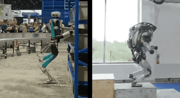 ����Ȼ��̬������ʮ���ף��������λ����˽ֱ���ﱬ���⣡