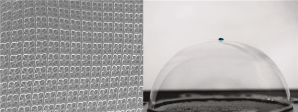 ��ѧ����AI����ȫ�²��ϣ������һ����� ������ĭһ����