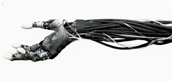 ��۾�㤣�����������˫�����߼������������