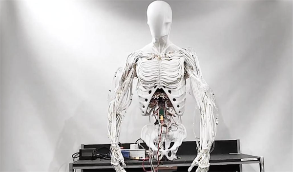 ��۾�㤣�����������˫�����߼������������