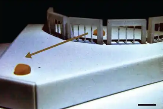 �ɴ��������ϰ�������Һ�����һ���������������