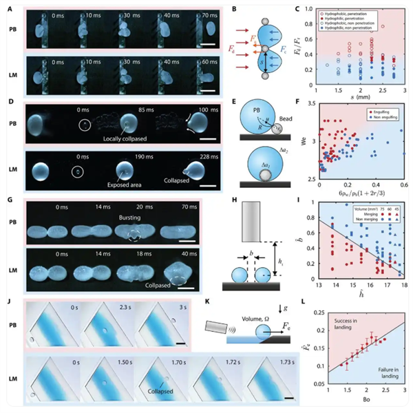 �ɴ��������ϰ�������Һ�����һ���������������